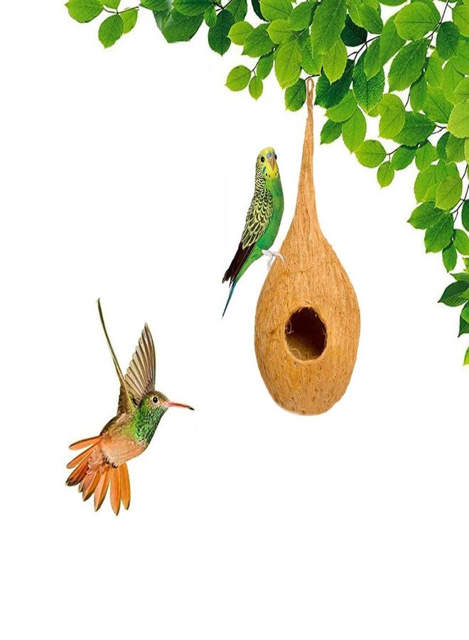 DealFry Handmade Hanging Bird Nest with Single Hole Made of Natural Coir Fiber Coconut Shell, Hanging Bird Nest for Cage and Balcony Birds Sparrows Finches Breeding, 1 Piece (Brown | Medium) - Image 4
